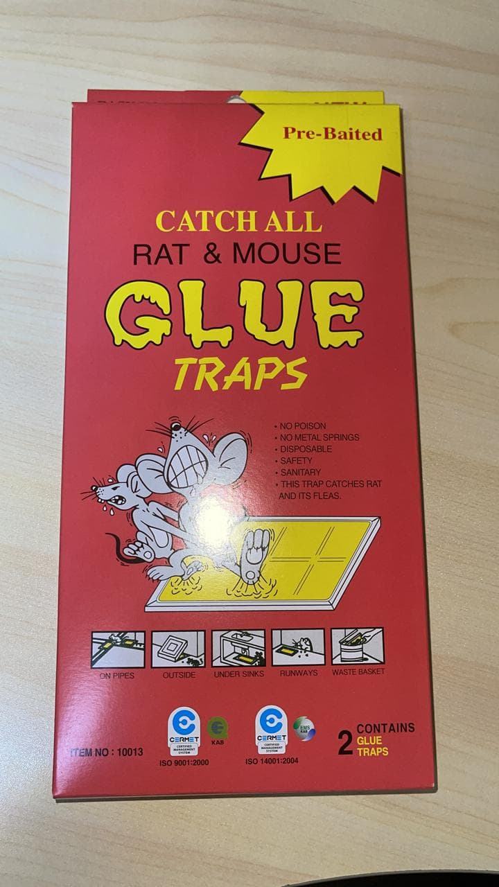 Rat Glue Trap